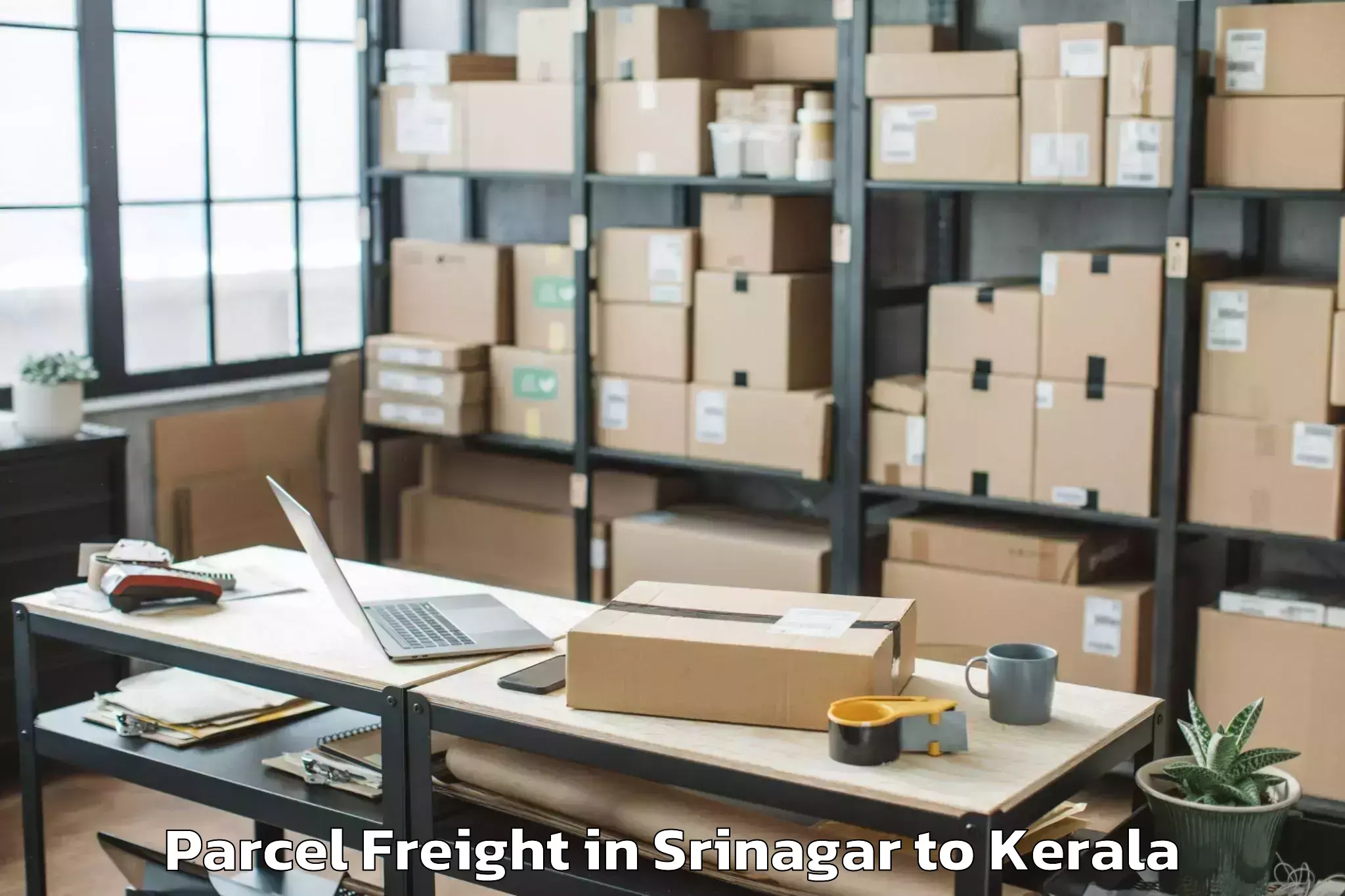 Reliable Srinagar to Alathur Malabar Parcel Freight